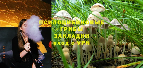 apvp Михайловка