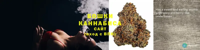 ссылка на мегу онион  что такое наркотик  Зарайск  Каннабис OG Kush 